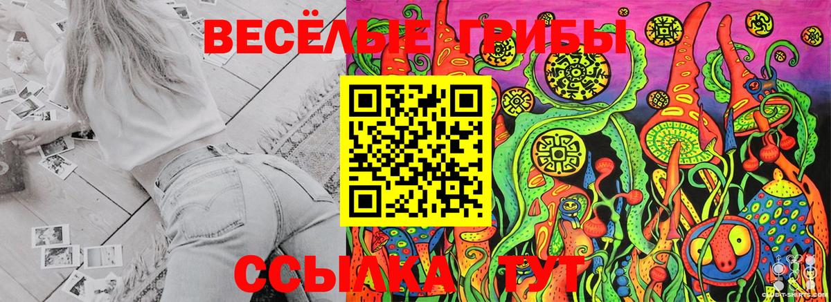 Псилоцибиновые грибы Psilocybe  Псилоцибиновые грибы Cubensis  Альметьевск  Вход с VPN 