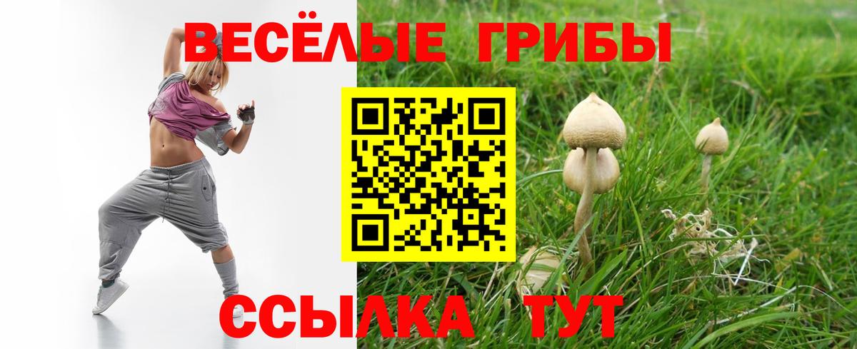 Галлюциногенные грибы MAGIC MUSHROOMS Альметьевск